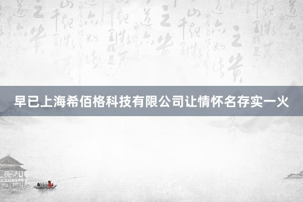 早已上海希佰格科技有限公司让情怀名存实一火
