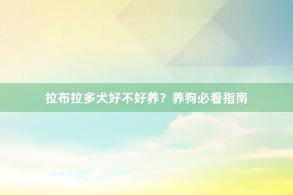 拉布拉多犬好不好养？养狗必看指南