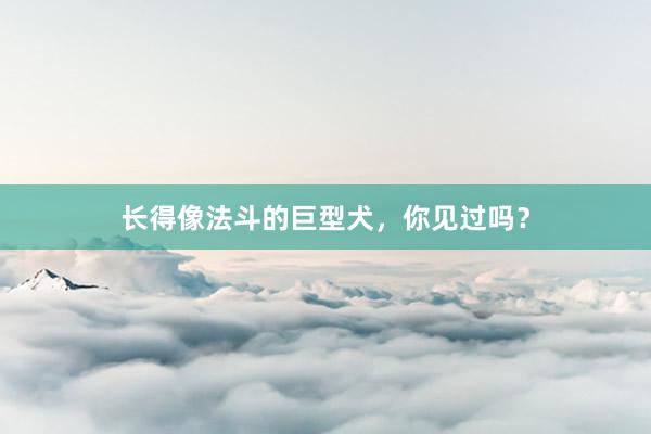 长得像法斗的巨型犬，你见过吗？